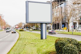 Projet du Règlement Local de Publicité