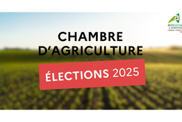 Elections 2025 des Chambres d'agriculture